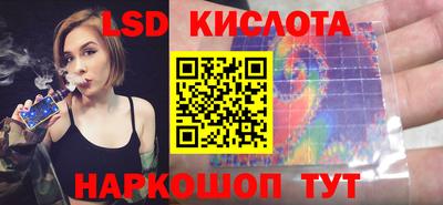 тгк Гай
