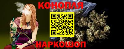 тгк Гай