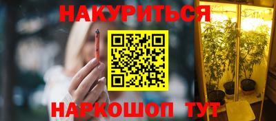 тгк Гай