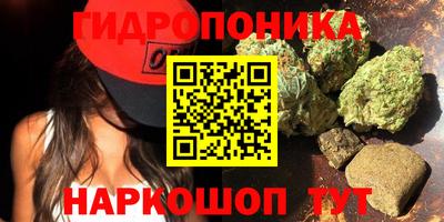 СК Гусь-Хрустальный